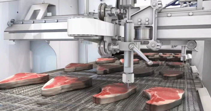 waterjet food cut